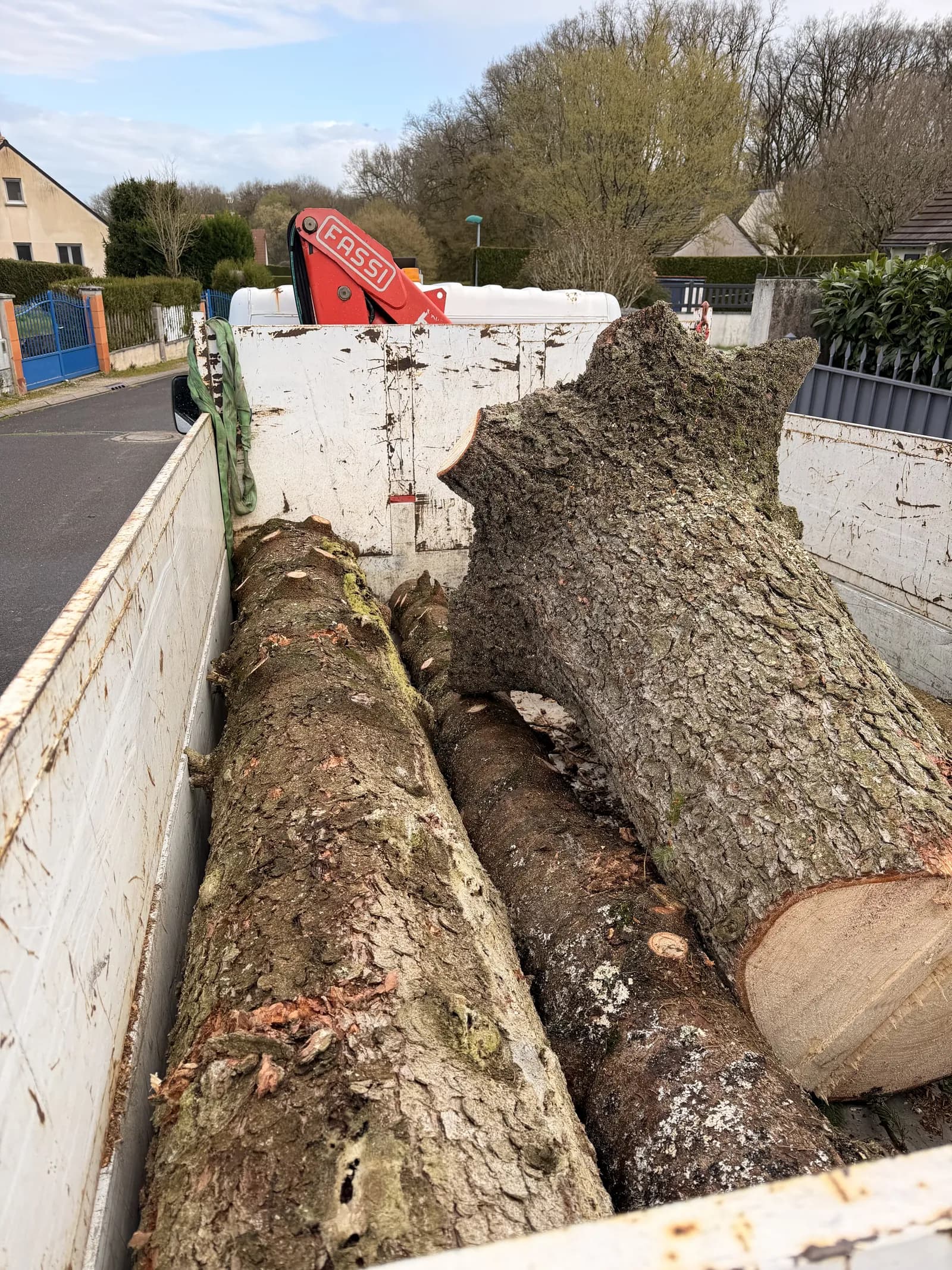 Sections de tronc chargées sur le plateau d’un camion équipé d’une grue